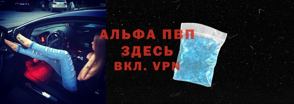 крисы Алзамай
