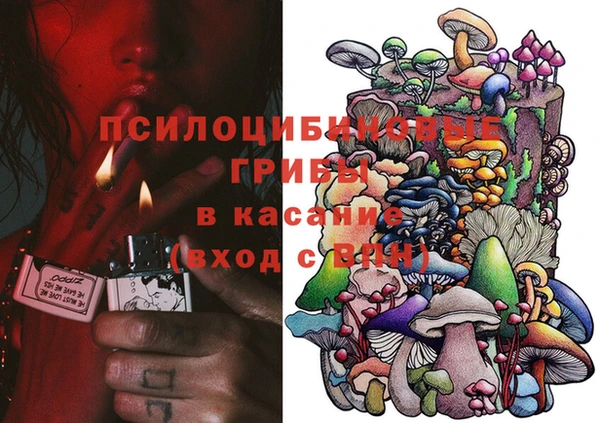 jwh Абаза