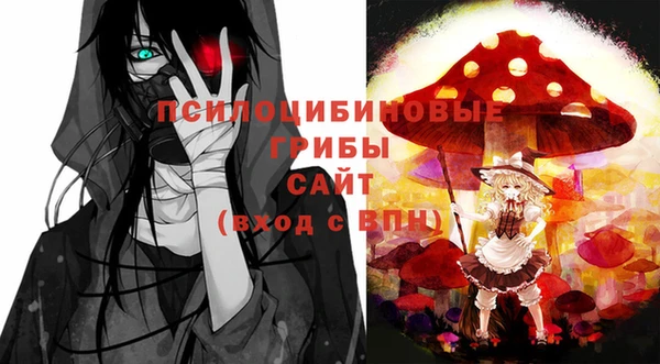 дурь Алексеевка