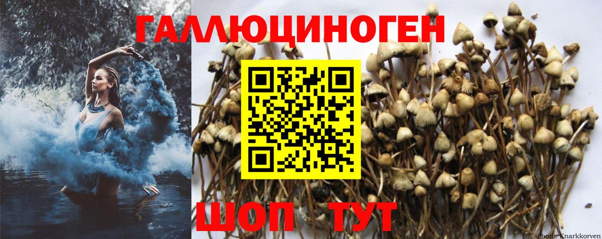 Псилоцибиновые грибы ЛСД Хабаровск