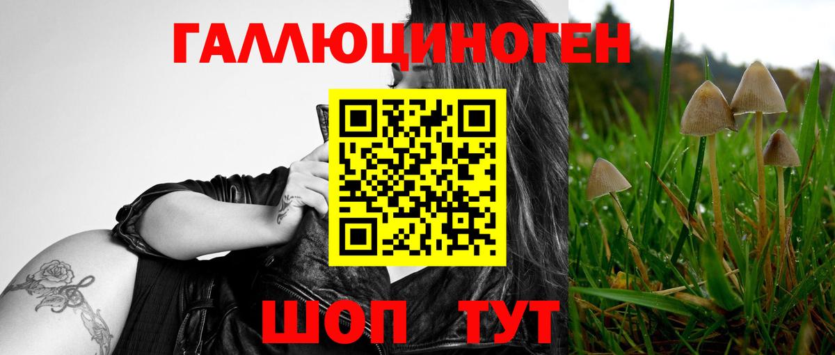 Хабаровск  Псилоцибиновые грибы мицелий  Вход с VPN  купить  цена  Псилоцибиновые грибы прущие грибы 